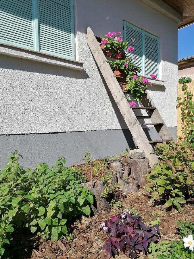 Menta Apartman Mezőkövesd Exteriér fotografie